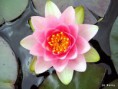 /album/fotogaleria/a82cc716264-44981435-o2-jpg/